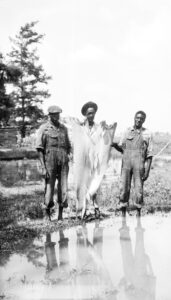 Three Black men with large fish in the Missouri Bootheel